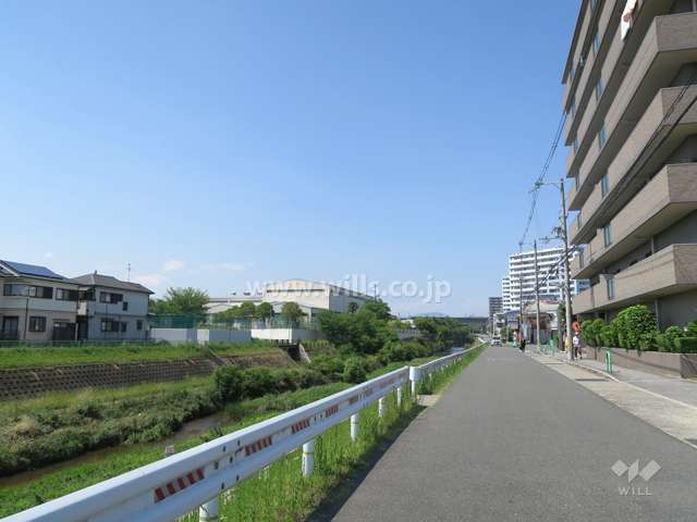敷地の西側前面道路。大正川が流れています