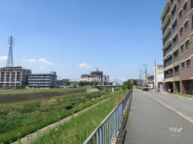 敷地西側の前面道路。道を挟んで大正川が流れています