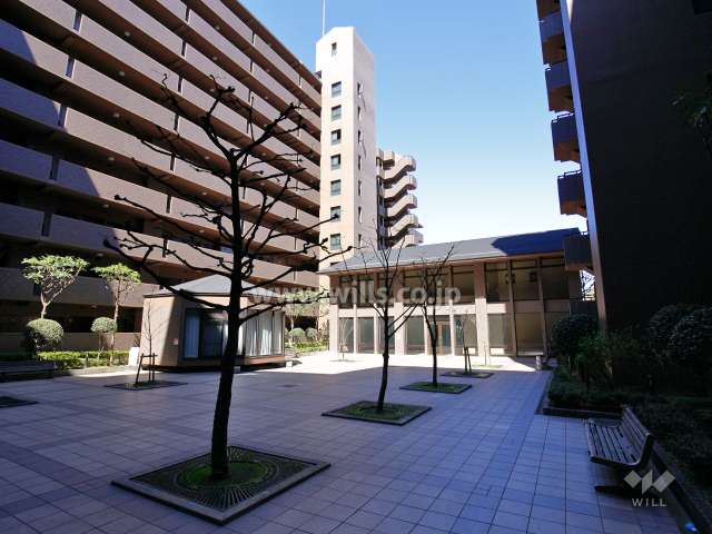 中庭