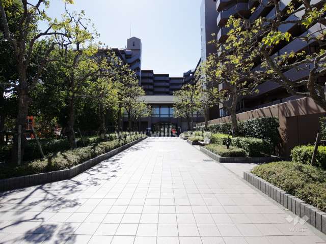 エントランスアプローチ