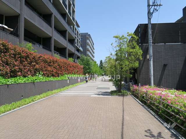 敷地北側の前面道路
