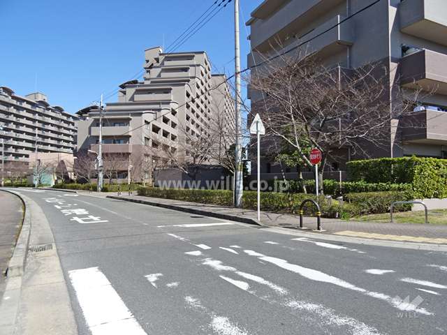 ジオ茨木学園町6番館の西側前面道路