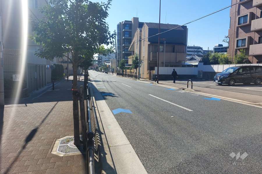 敷地西側の前面道路（北側から）