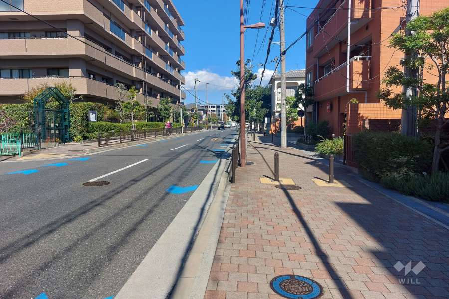 敷地西側の前面道路（南側から）