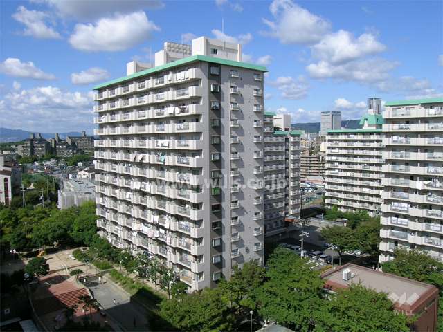 敷地内は緑豊かです。左からB棟、奥がD棟、右がC棟