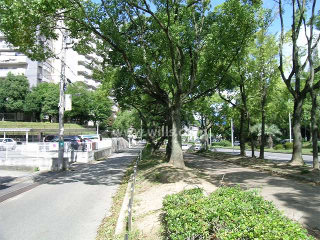 敷地の東側には街路樹の美しい吹田箕面線が走っています。