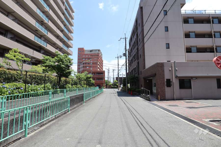 敷地北側の前面道路（西側から）