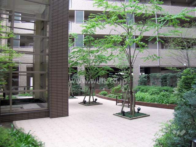 中庭