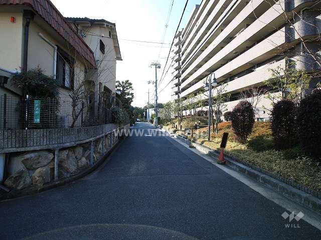 敷地東側の前面道路（北側から）
