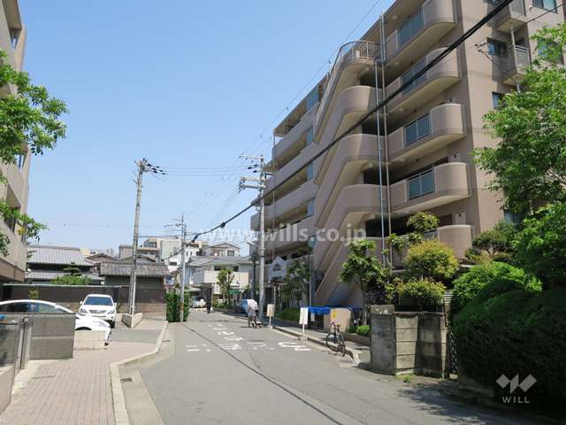 敷地西側の前面道路。