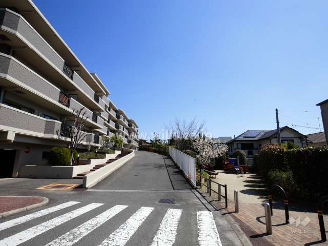 周辺は第1種低層住居専用地域に指定された一戸建てが中心に立ち並ぶ閑静な住宅地です。