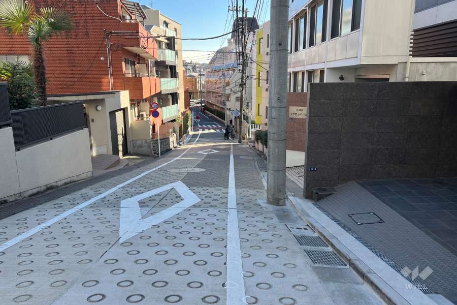 敷地の北東側前面道路（北西側から）