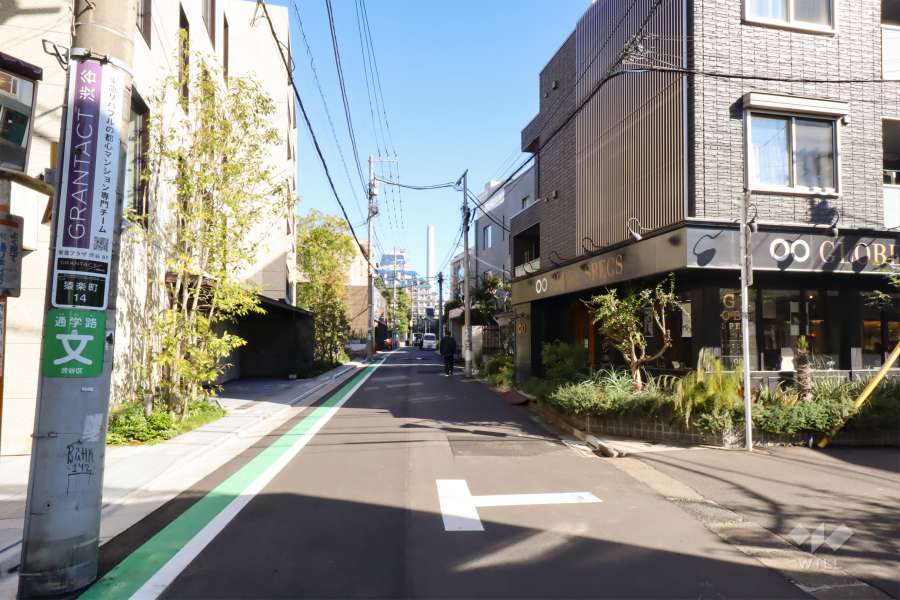 敷地南東側の前面道路（南西側から）