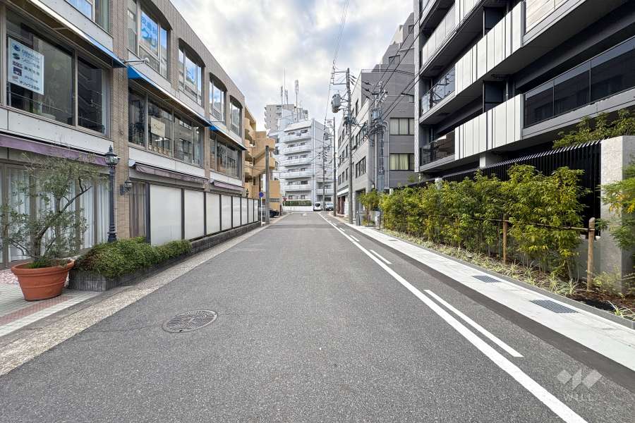 敷地南側の前面道路（東側から）