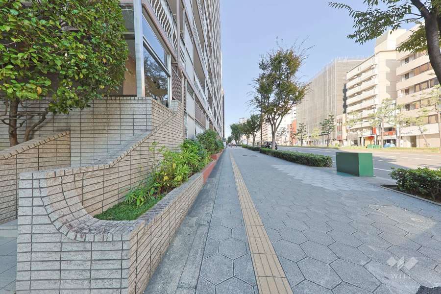 敷地北側の前面道路