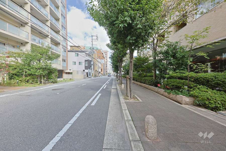 敷地西側の前面道路（南側から）