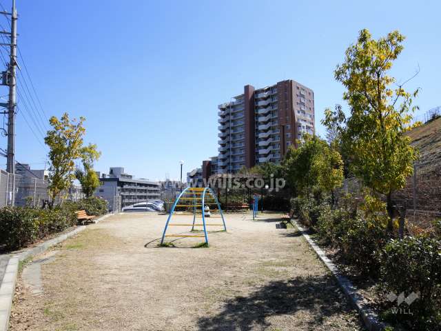 敷地に隣接して公園があります。