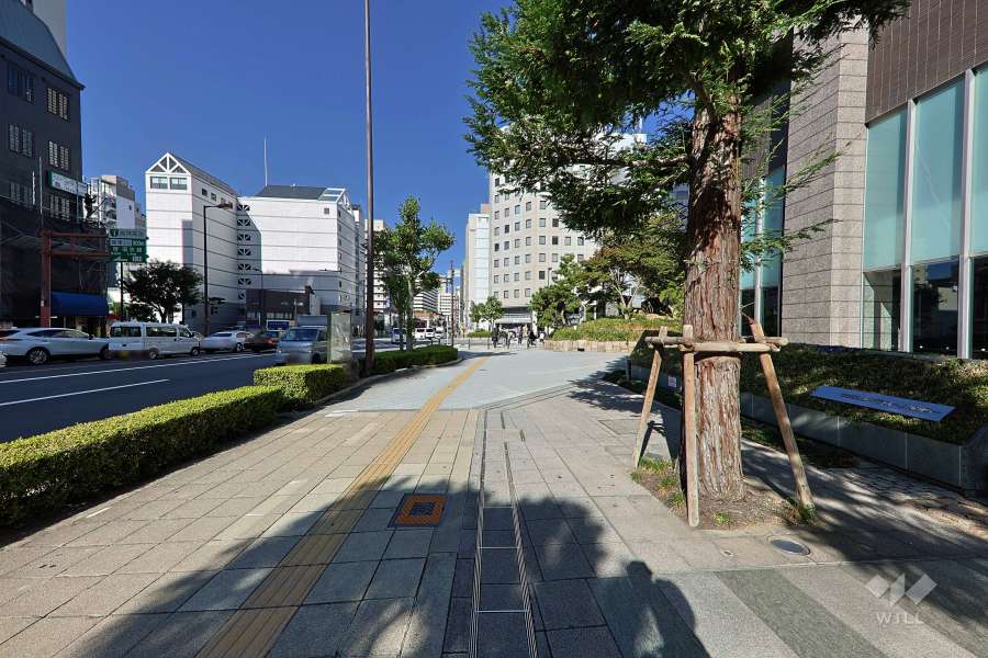 敷地の北側前面道路（西側から）