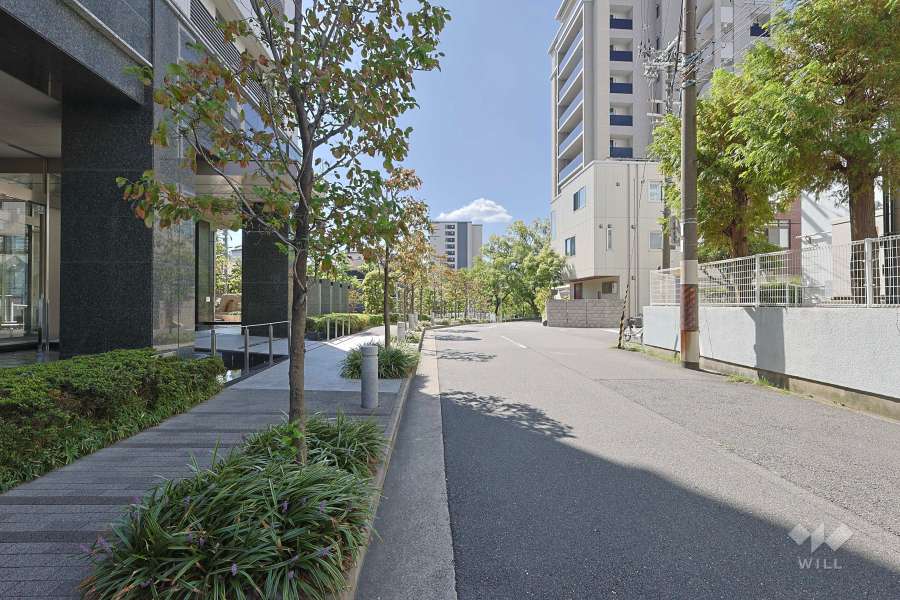 敷地西側の前面道路