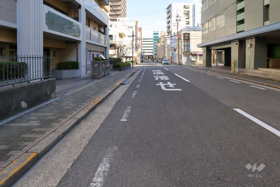 敷地南側の前面道路（西側から）