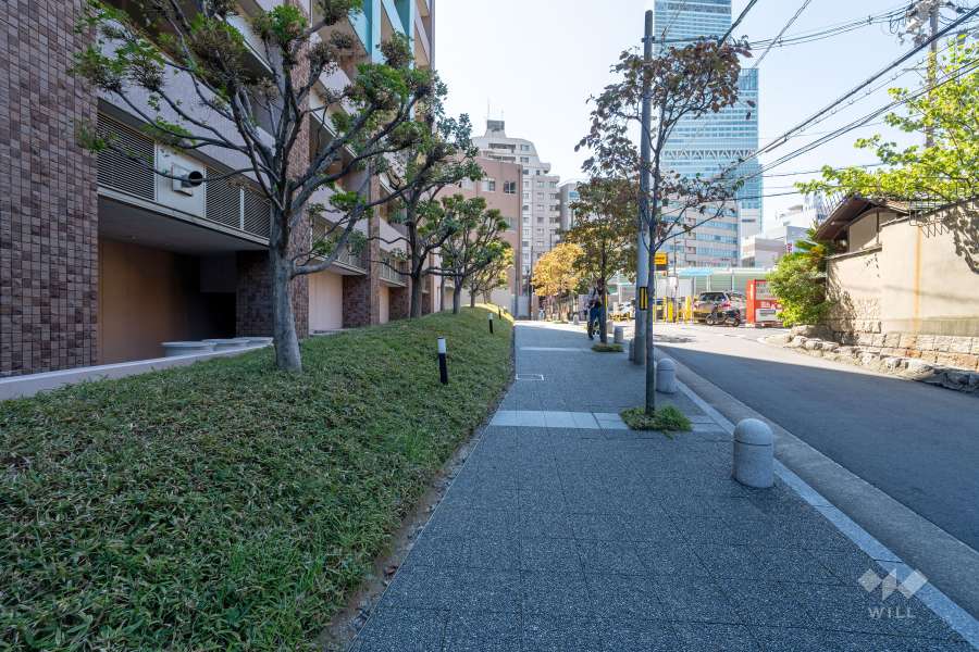 敷地西側の前面道路