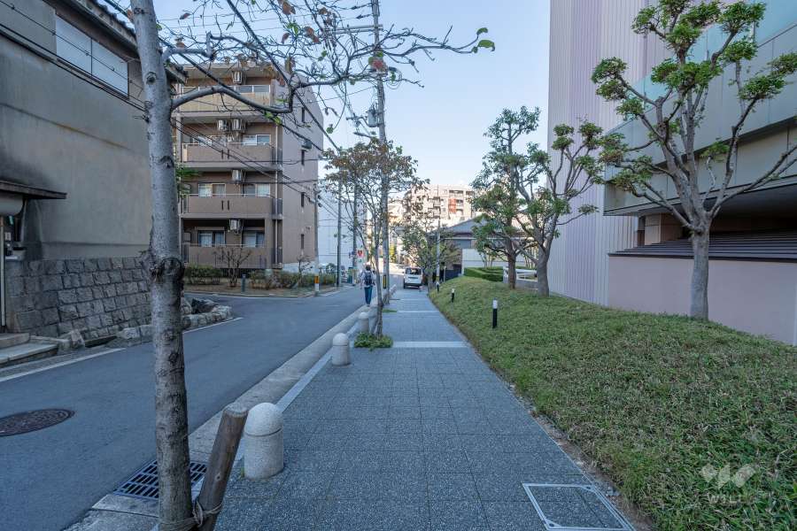 敷地西側の前面道路　