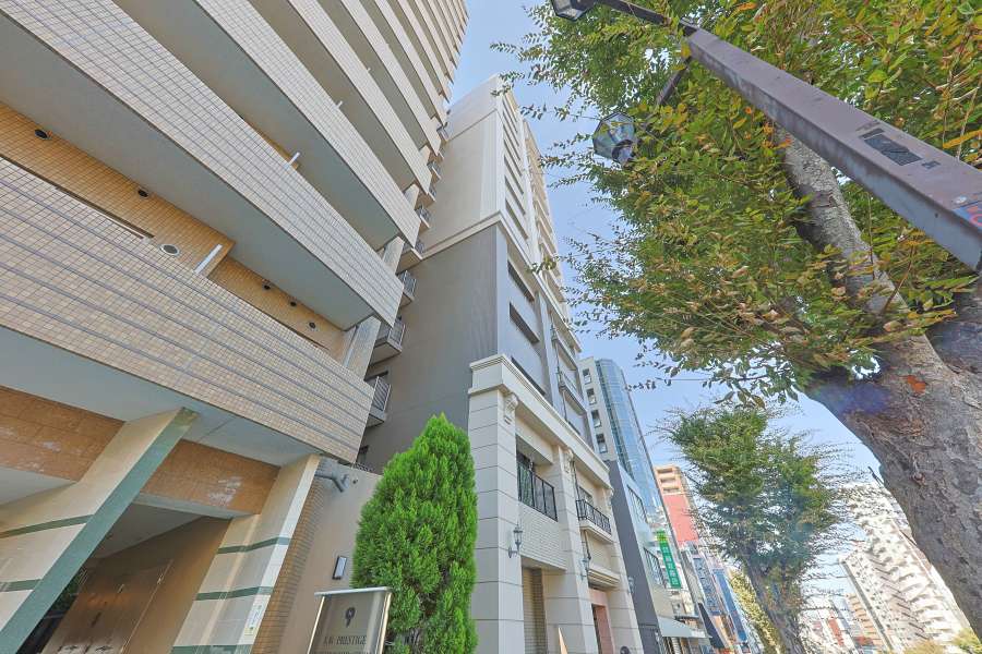 クラウンハイム上町台セントラルカーサの外観（北東側から）