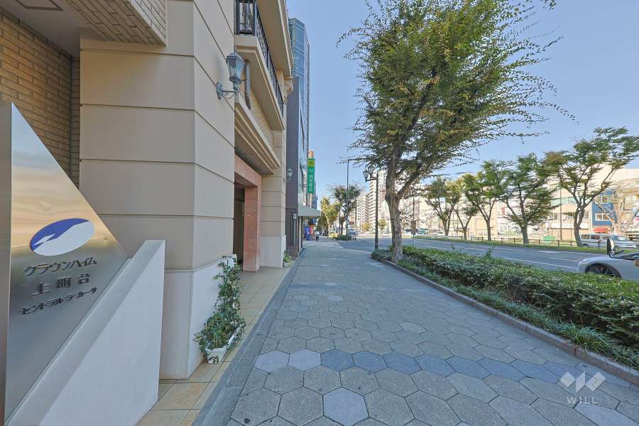 敷地北側の前面道路　