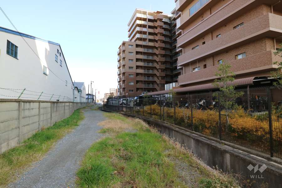 敷地北側の通路