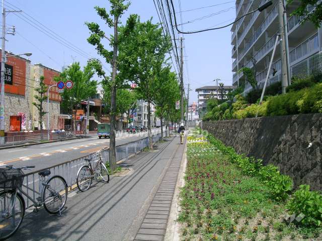 敷地の西側はロマンチック街道に面しています。