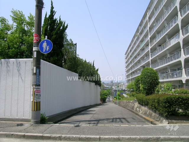 敷地の南側の前面道路