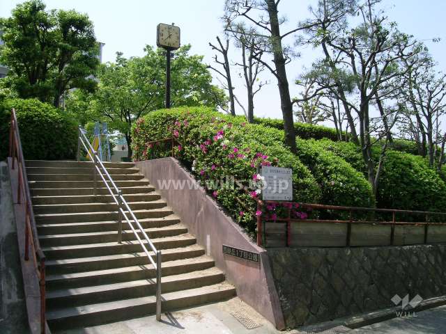 敷地の道を挟んで南側にある『西緑丘1丁目公園』