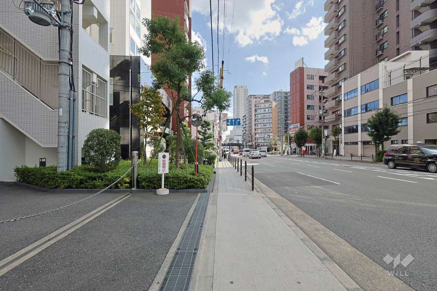 敷地の西側前面道路（北側から）