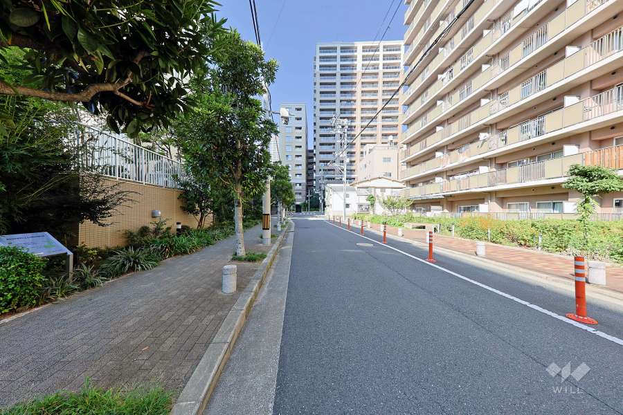 敷地の北側前面道路（東側から）
