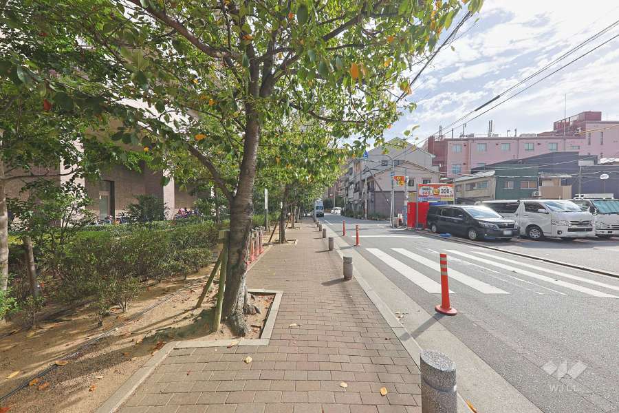 敷地南側の前面道路　