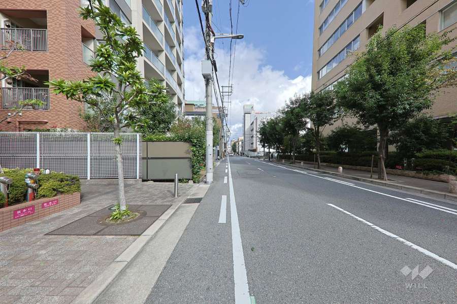 敷地の東側前面道路（南側から）