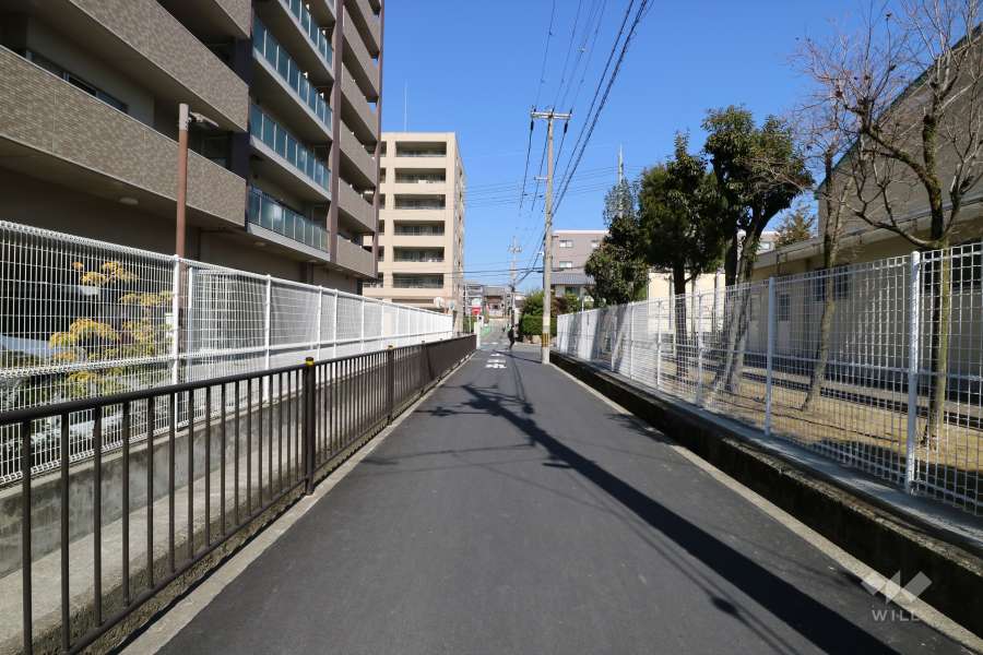 敷地東側の前面道路