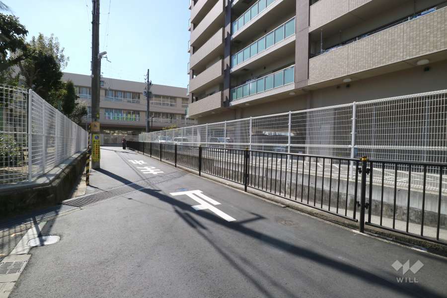 敷地東側の前面道路