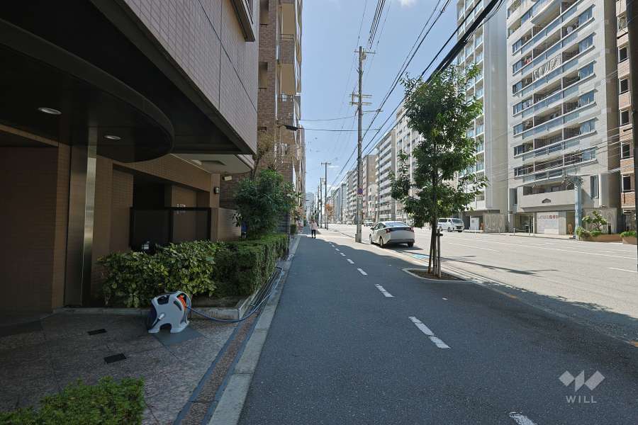 敷地の西側前面道路（北側から）