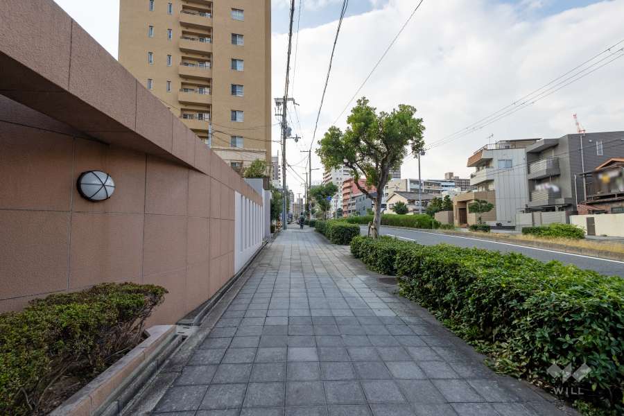 敷地北側の前面道路　