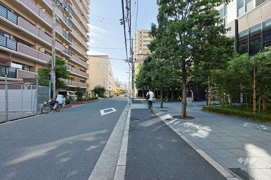 敷地の東側前面道路（北側から）
