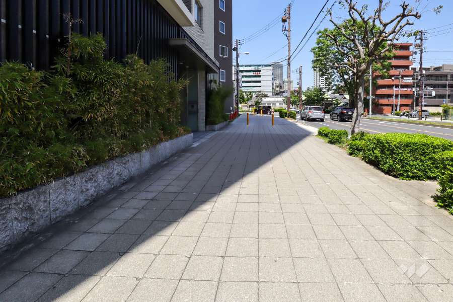 敷地東側の前面道路（南側から）