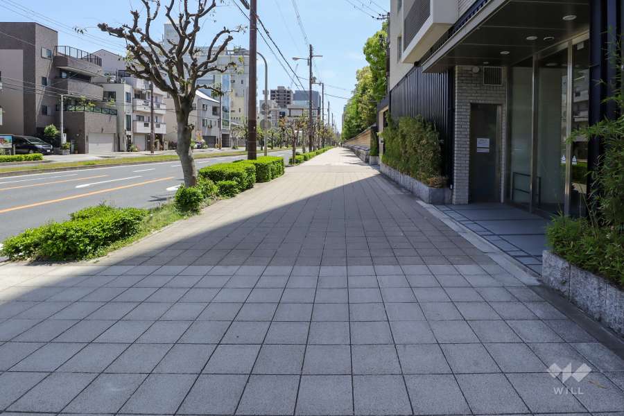 敷地東側の前面道路（北側から）