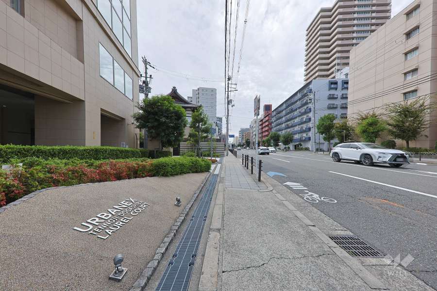 敷地の西側前面道路（北側から）