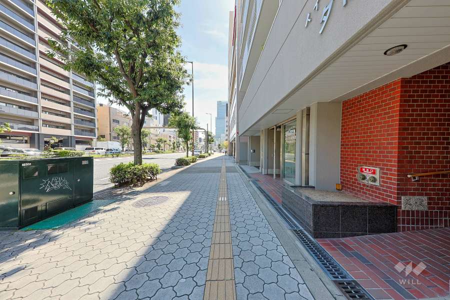 敷地東側の前面道路（北側から）