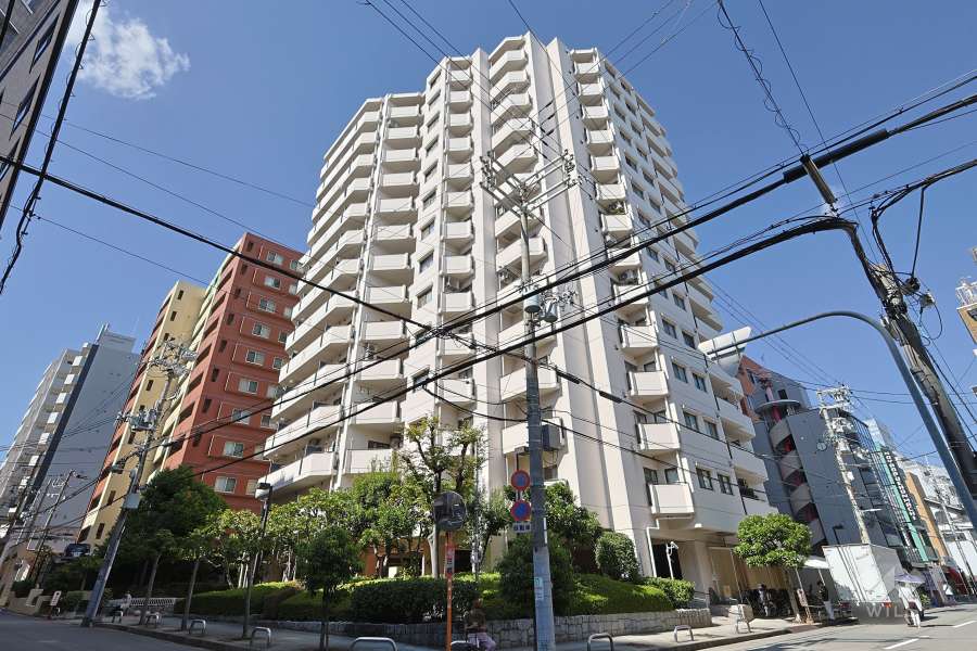 ハイネス上本町の外観（南東側から）