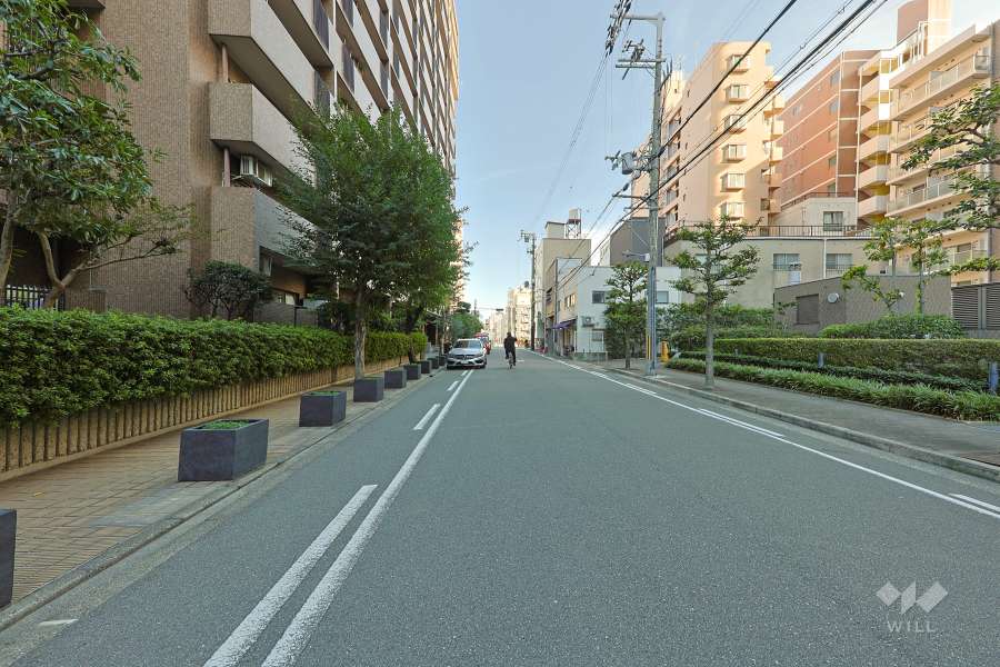 敷地南側の前面道路（西側から）