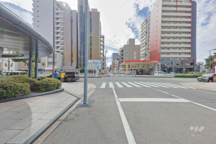 敷地の西側前面道路（北側から）