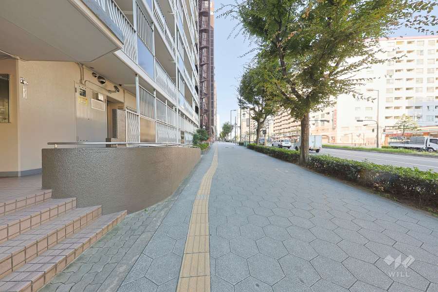 敷地北側の前面道路　