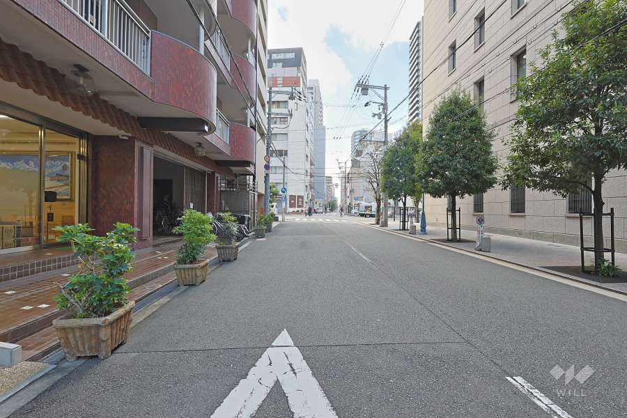 敷地の北側前面道路（東側から）